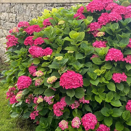 Casa La Barquera -reserva Entablar Conversacion- *