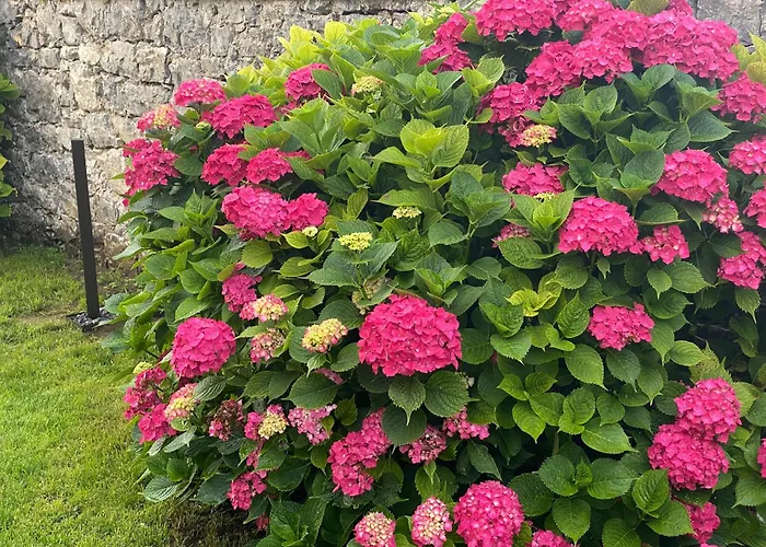 Casa La Barquera -reserva Entablar Conversación- *